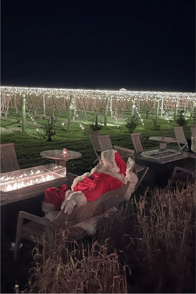 Picture of a vineyard with lights 